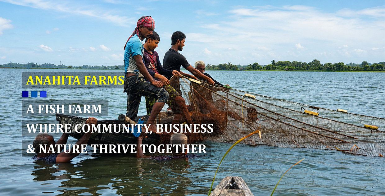 Anahita Farms - An ideal fishing farm in Bangladesh